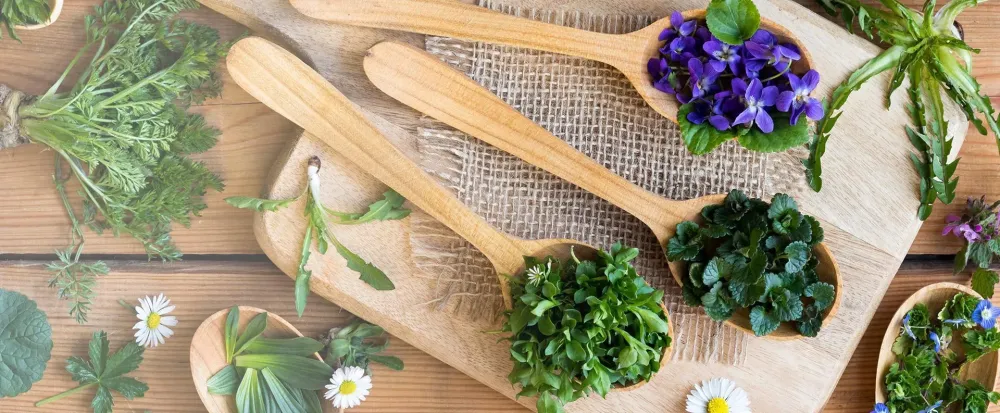 naturopathie (2)